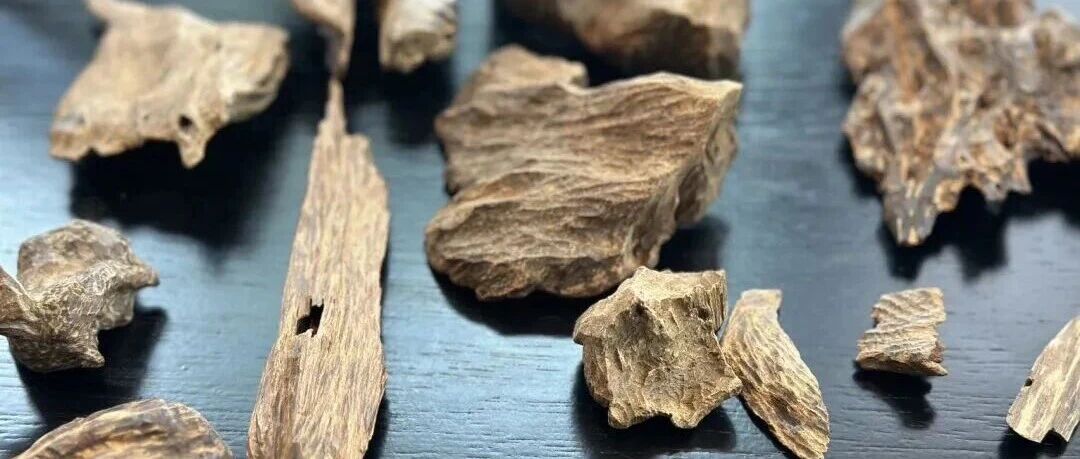 大馨堂公众号文章《一口气记住沉香十大产区的标准味道》封面